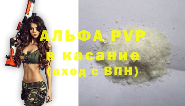 ешки Белокуриха