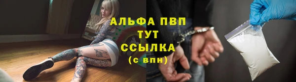 ешки Белокуриха