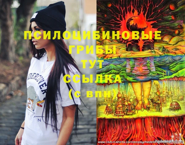 ешки Белокуриха